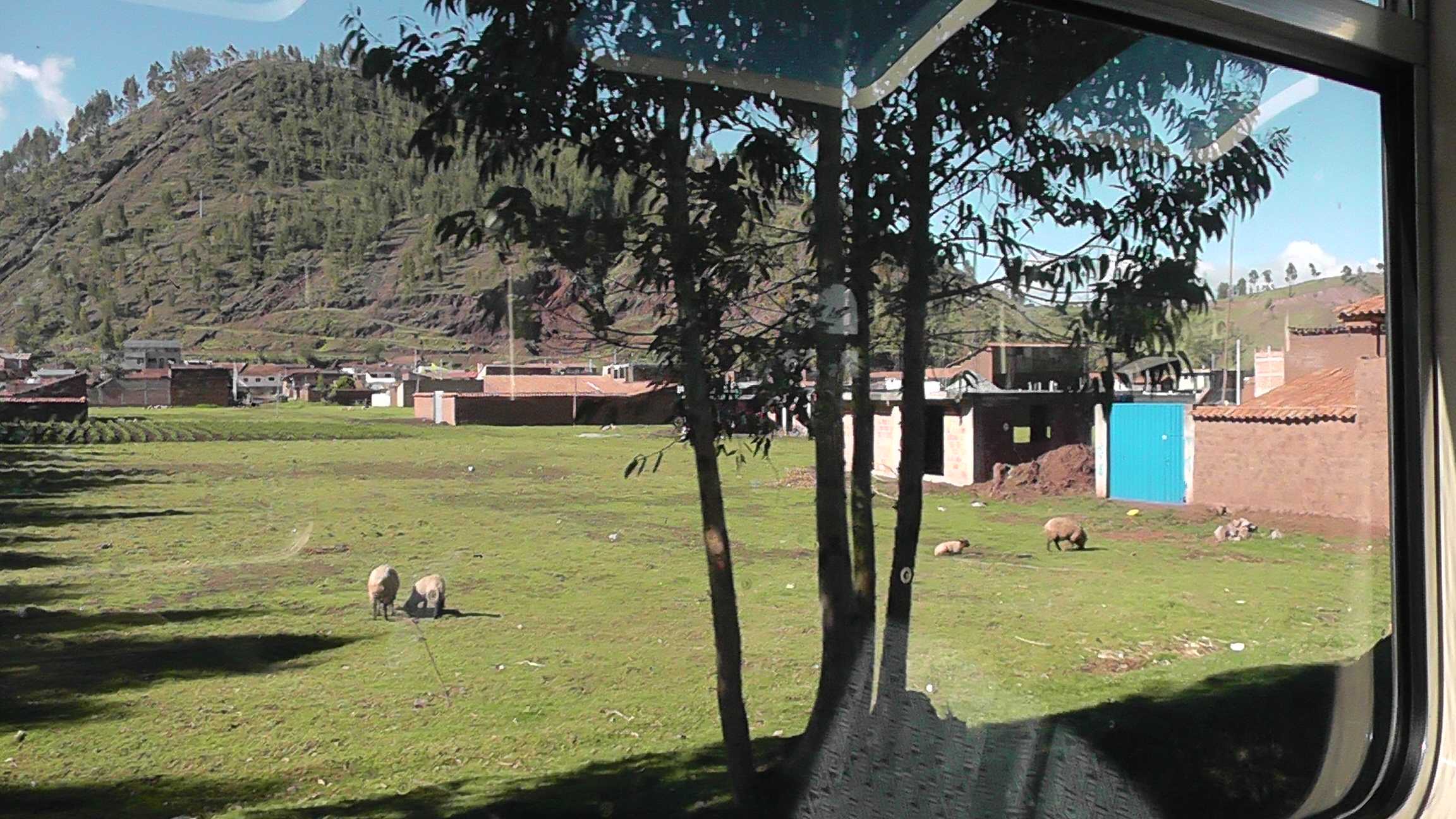 Paisagens da janela do trem I