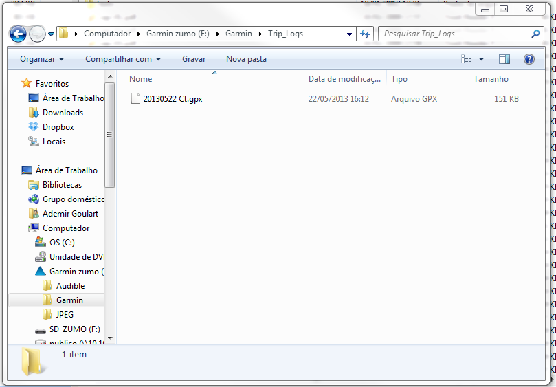 Diretorio_Trip_Log_Capturar