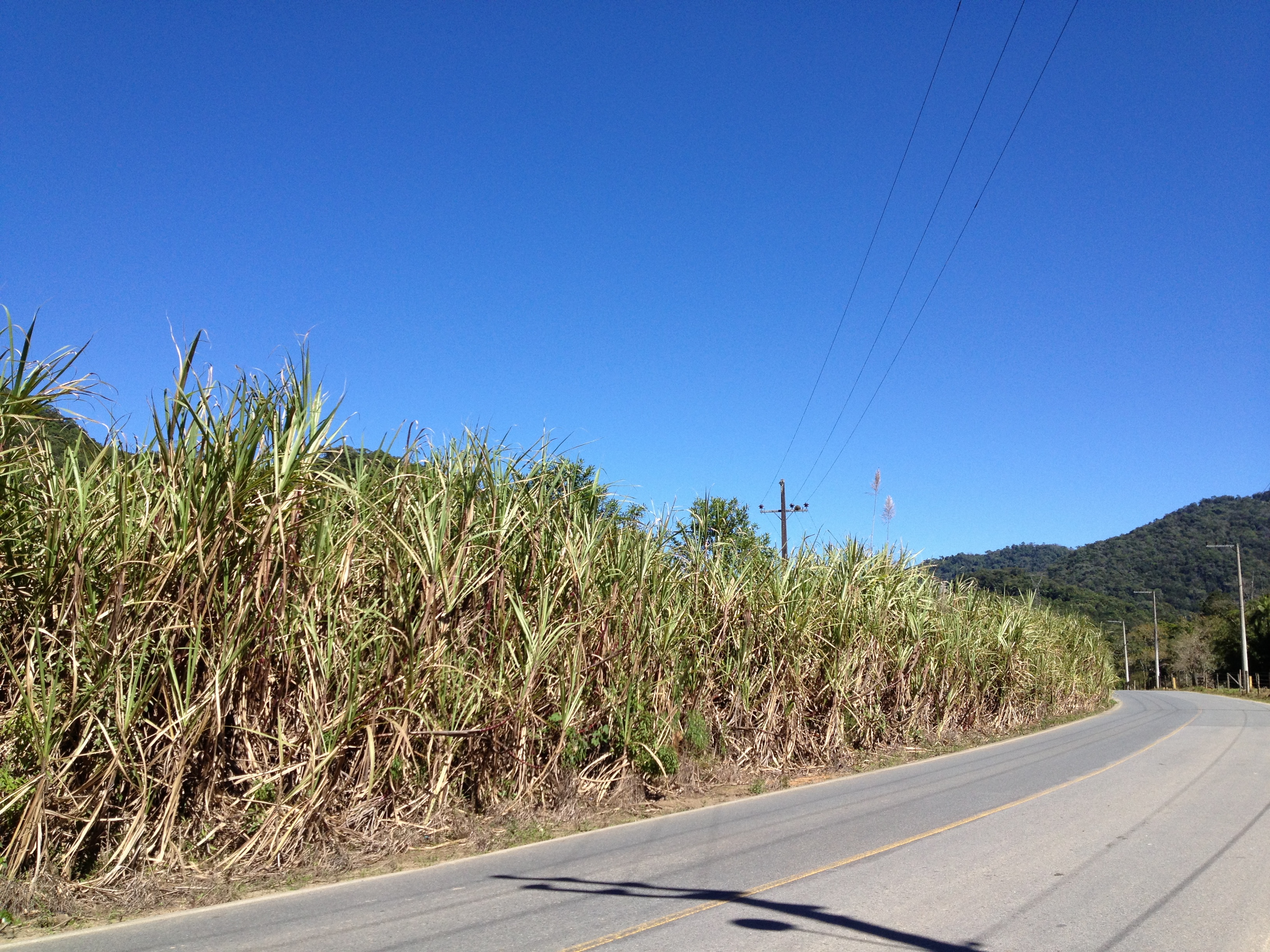 MatÃ©ria Prima ...