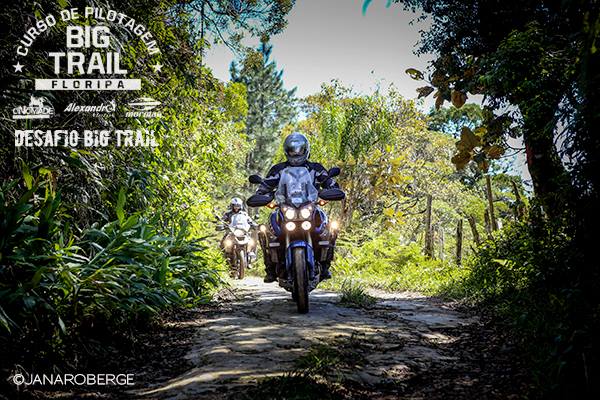 Mato... Muito Mato...