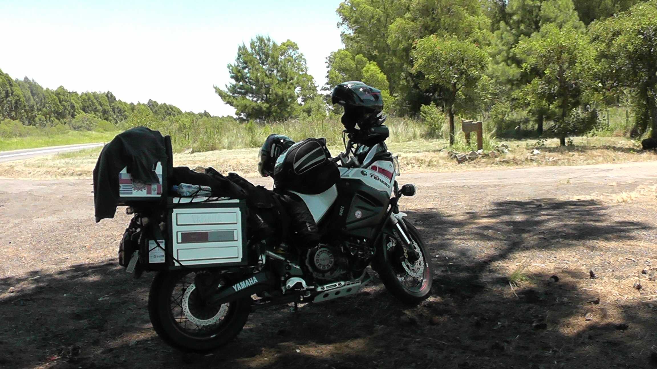 A Stenere do Marcio descansdando