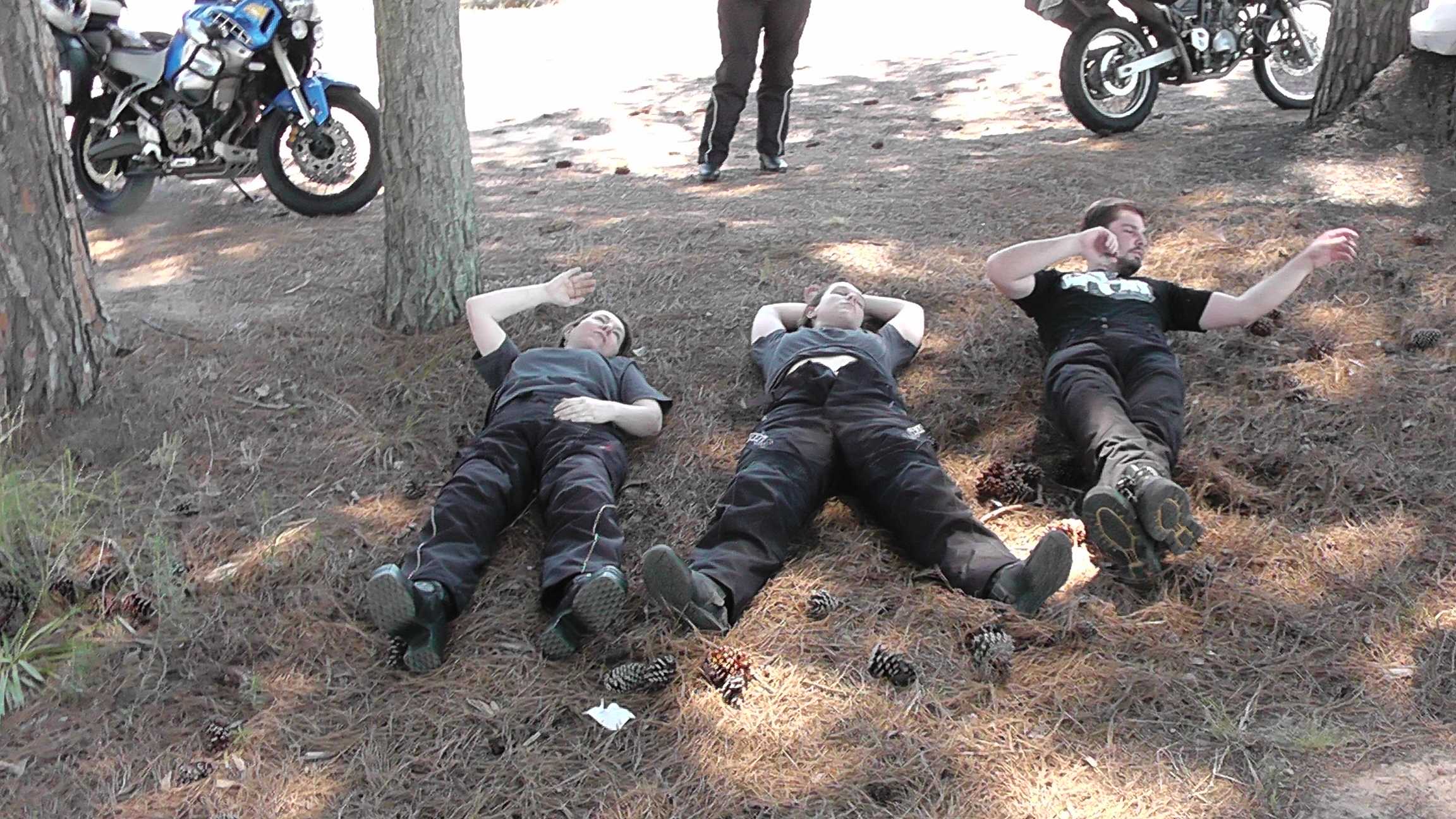 Família que descansa unida...