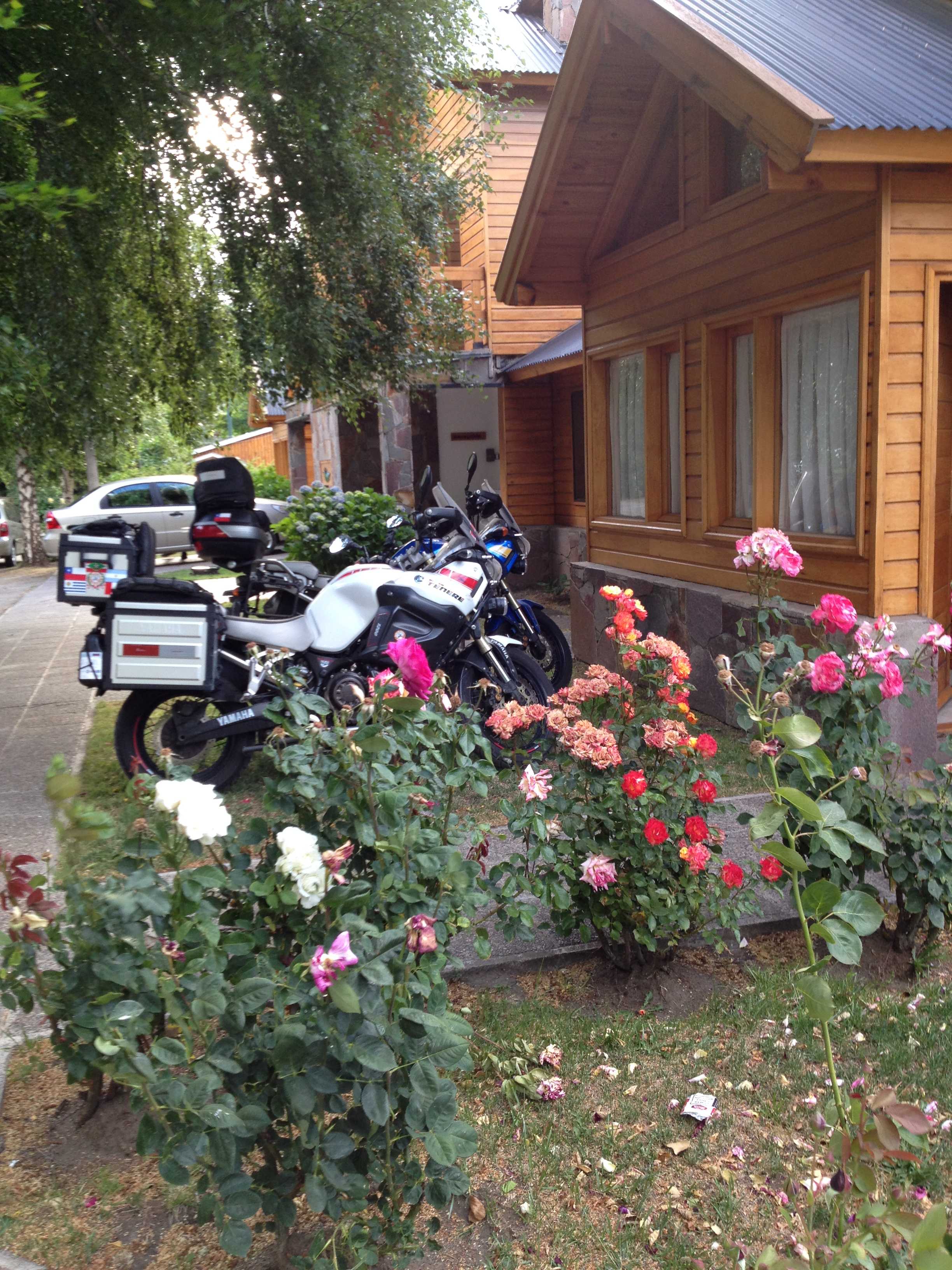 Lindas flores na entrada...