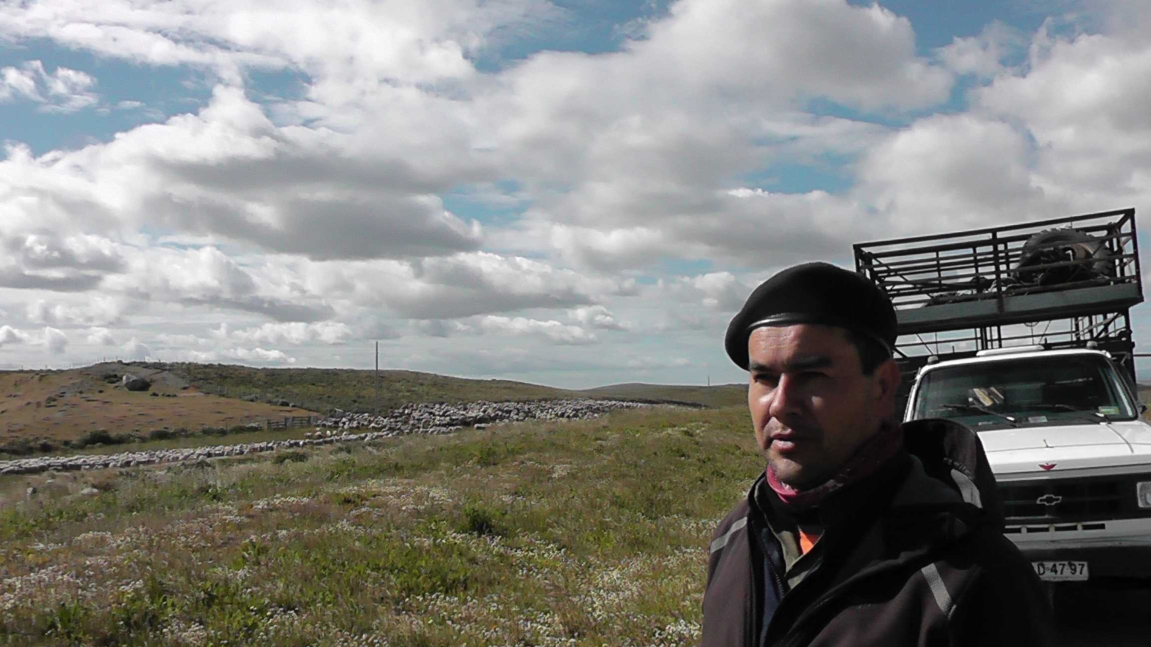 O condutor da segunda camionete que passou informações sobre o rebanho