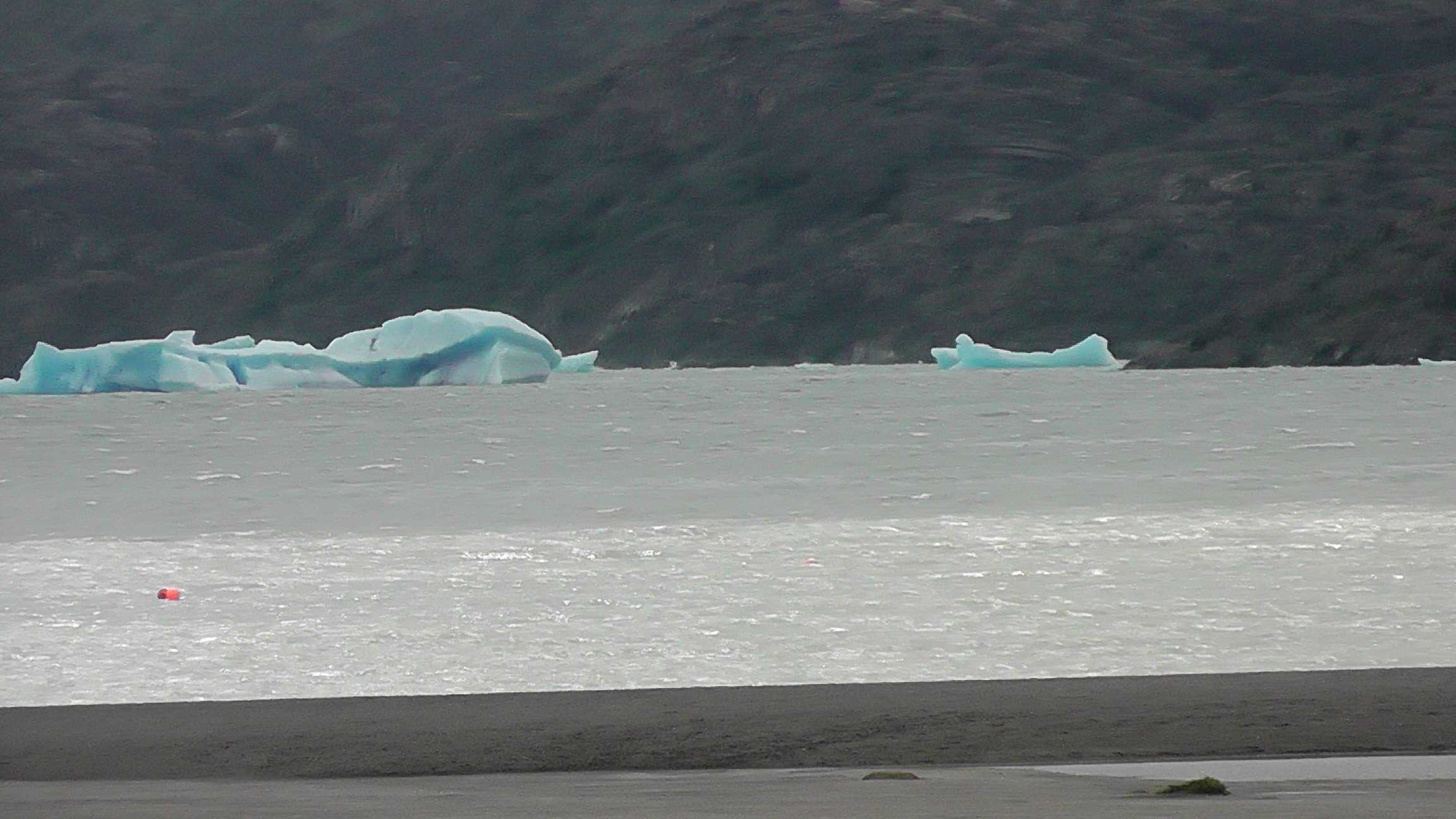 Lago Grey - pedaços de gelo