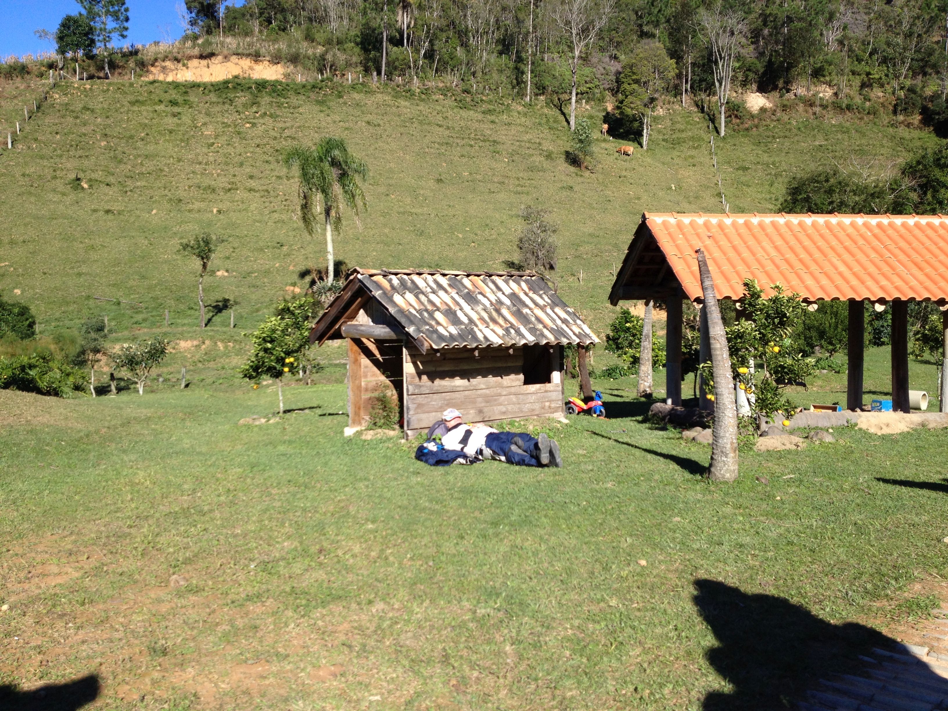 Após o almoço alguém tirou uma soneca...