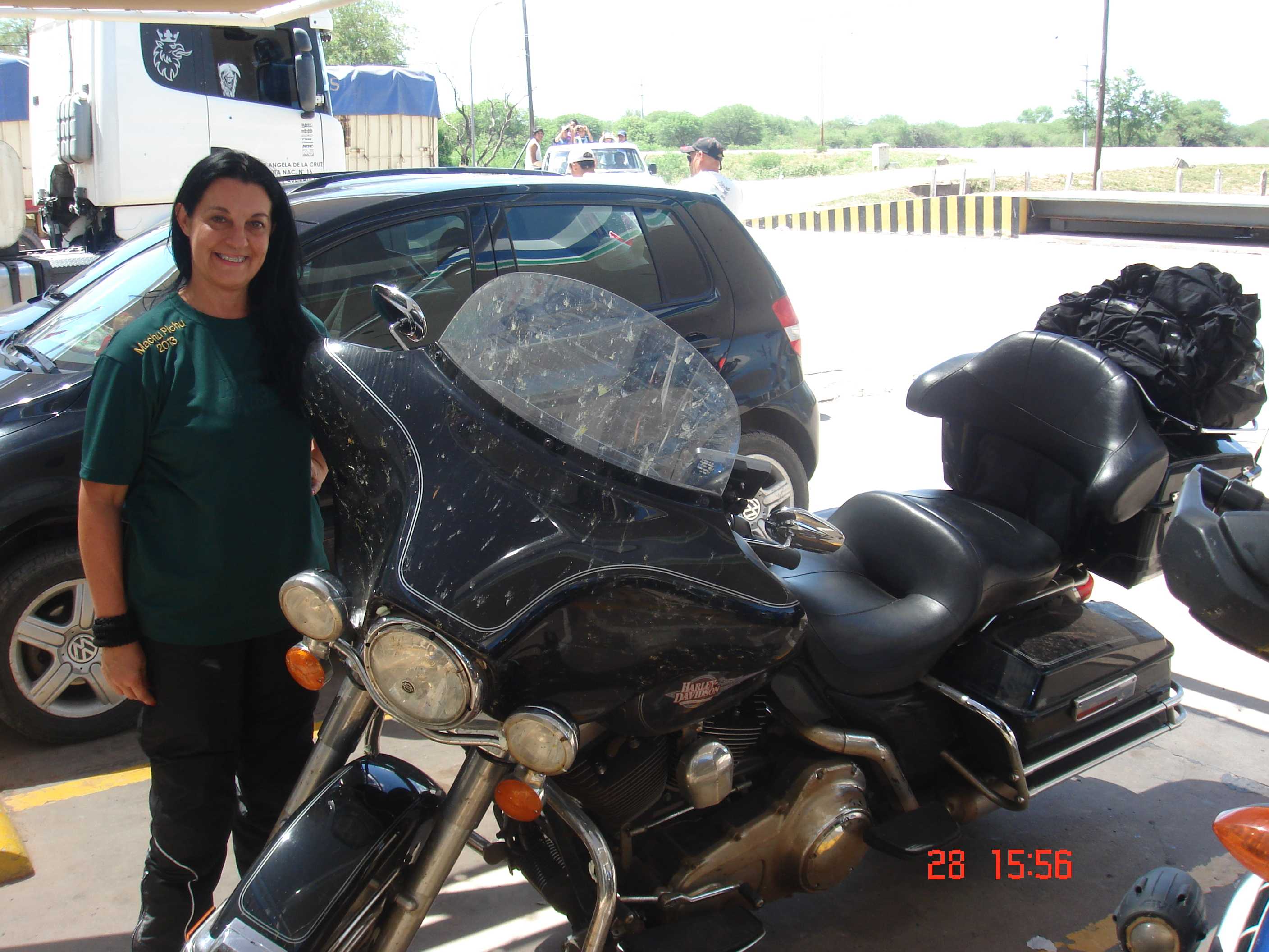 Muita borboleta esmagada